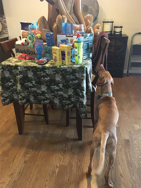 A puppy shower, hosted by Clifford's Mom's co-workers was a huge hit. Clifford, of course, was the star of the party.