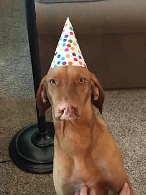Clifford First Birthday
