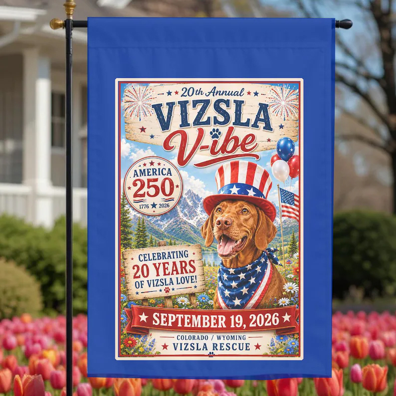 20th Annual Vizsla V-ibe Heritage Celebration